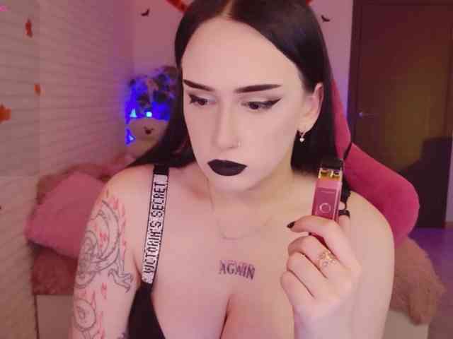 Darineko webcam