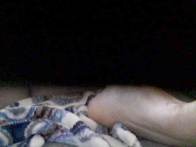 Bongmamabear webcam