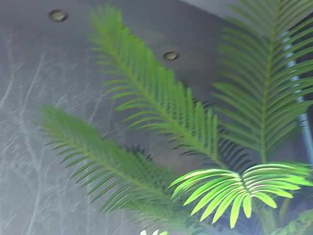 AlisaFreshly