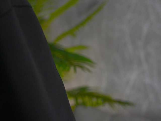 AlisaFreshly