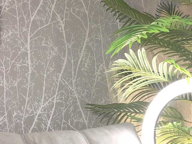 AlisaFreshly