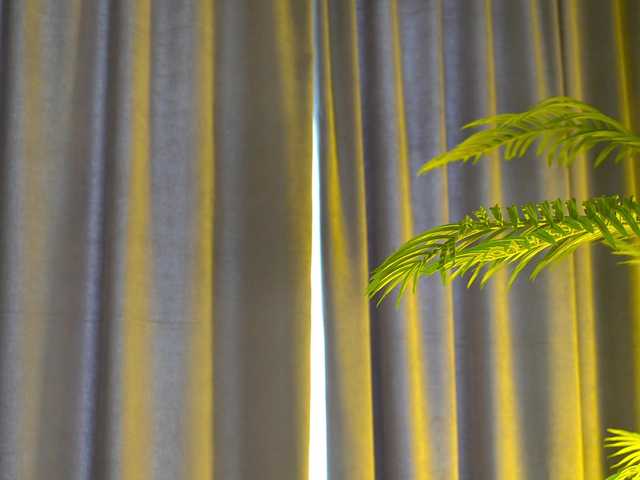 AlisaFreshly live webcam show