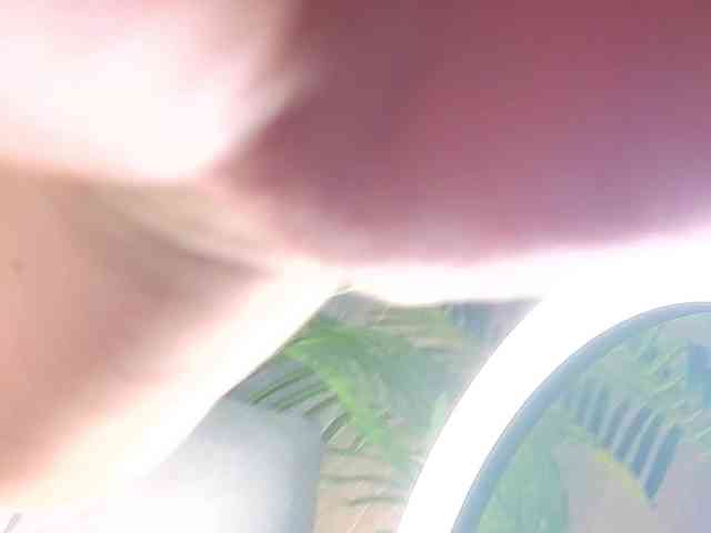 AlisaFreshly webcam
