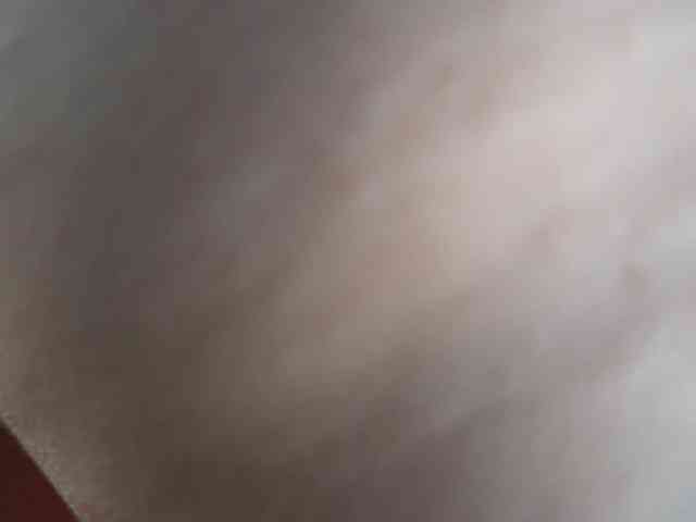 AlisaFreshly webcam