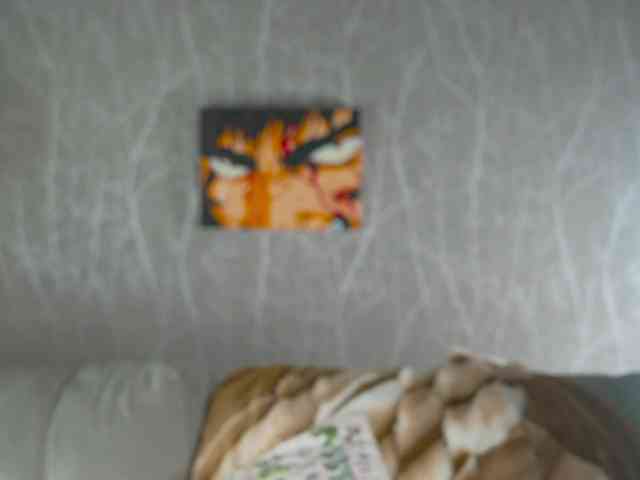 AlisaFreshly webcam