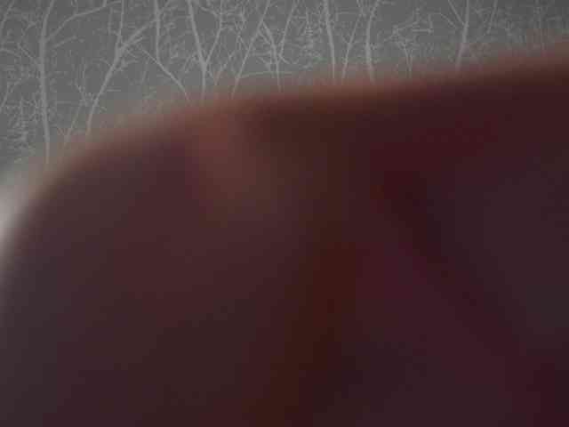 AlisaFreshly webcam