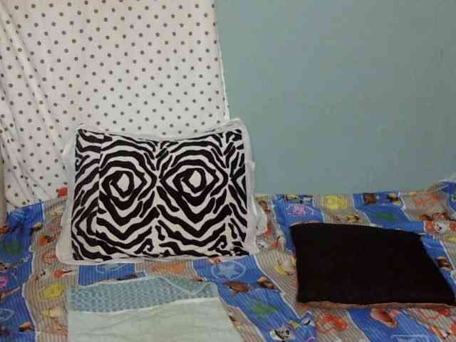 Queenstar1 webcam