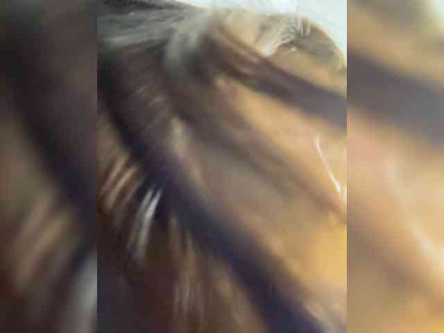 Laima555 webcam