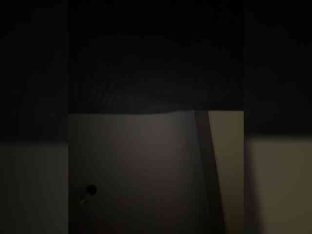 Myyrrr webcam