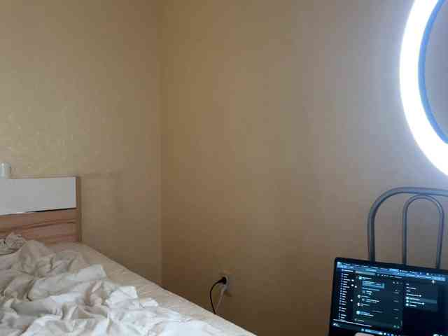 HereLora webcam