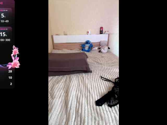 HereLora webcam