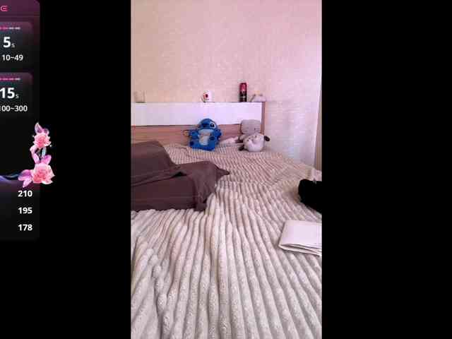 HereLora webcam