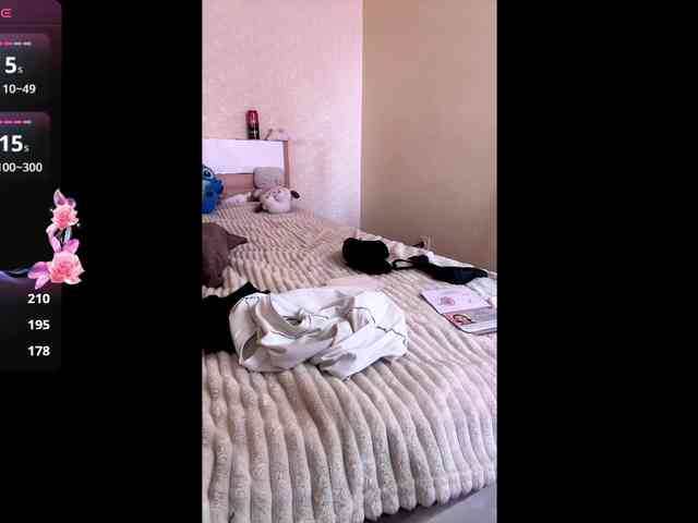 HereLora webcam