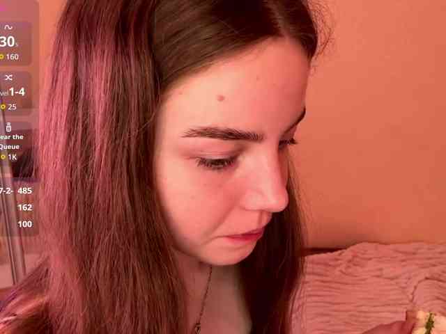HereLora webcam