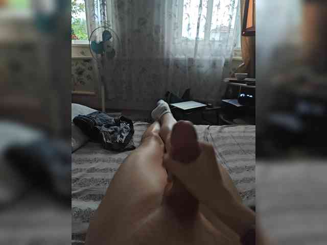 Vikssis