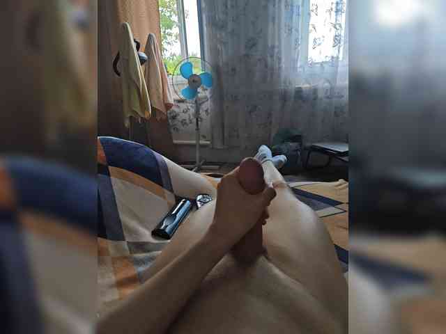 Vikssis