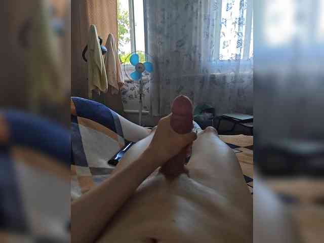 Vikssis