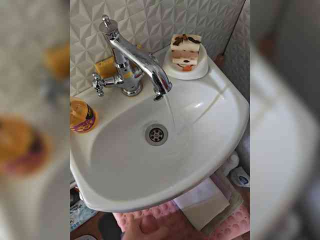 Vikssis