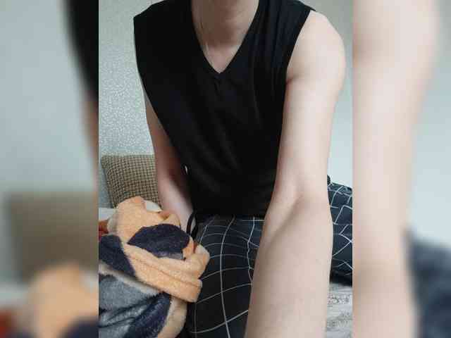 Vikssis