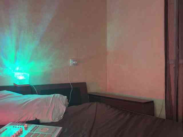 SAINTCAT webcam