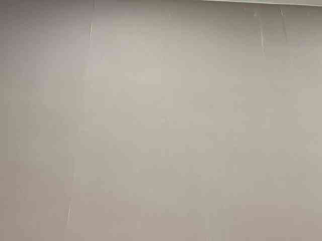 SAINTCAT webcam