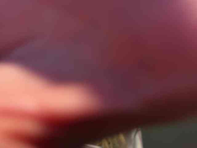 xxx live cam SAINTCAT