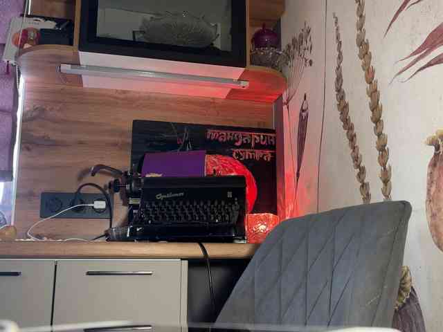 SAINTCAT webcam