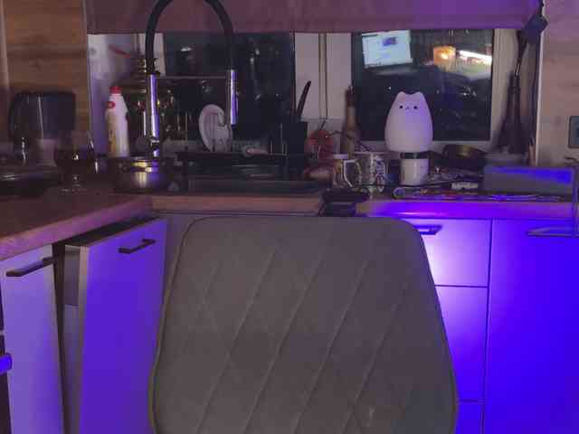 SAINTCAT webcam