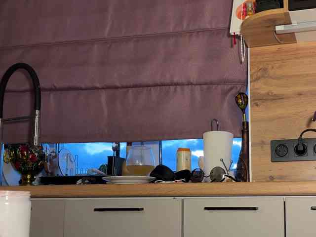 SAINTCAT webcam
