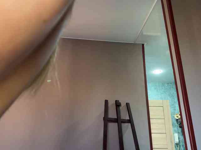 SAINTCAT webcam