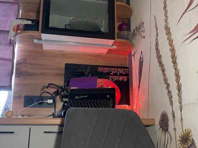 SAINTCAT webcam