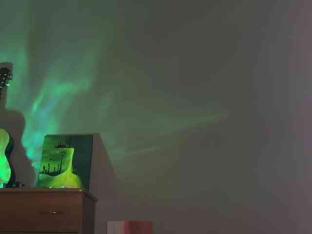 SAINTCAT webcam