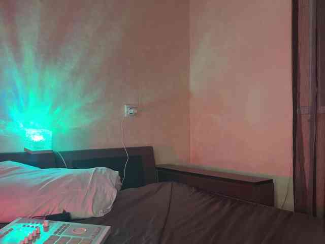 SAINTCAT webcam
