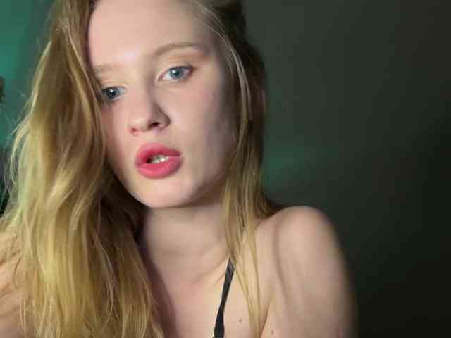 SAINTCAT webcam