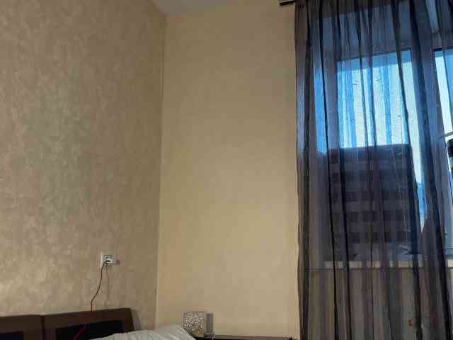 SAINTCAT webcam