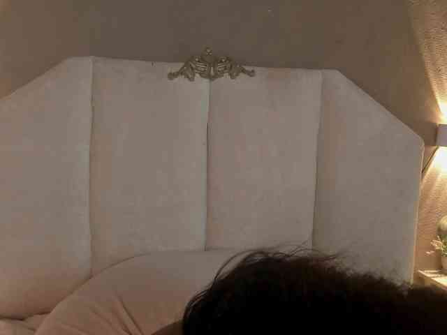 Onawa webcam