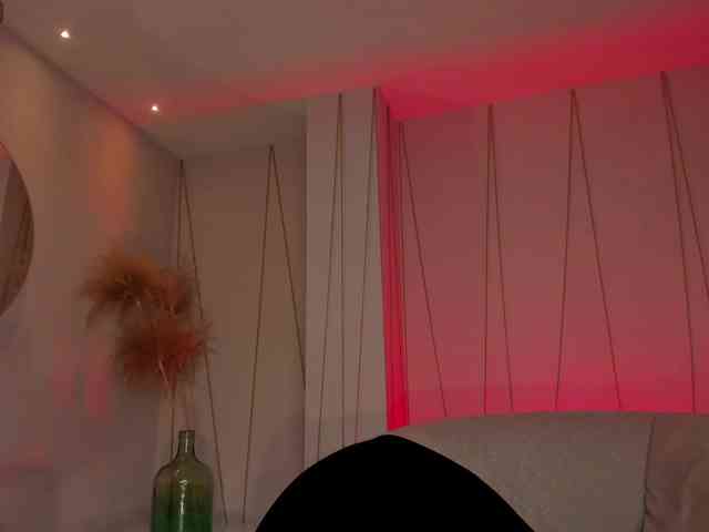 NovaSinclair webcam