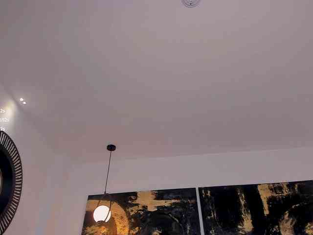 NovaSinclair webcam