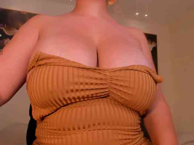 Modelo: NovaSinclair