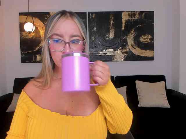 NovaSinclair webcam