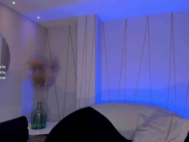 NovaSinclair webcam