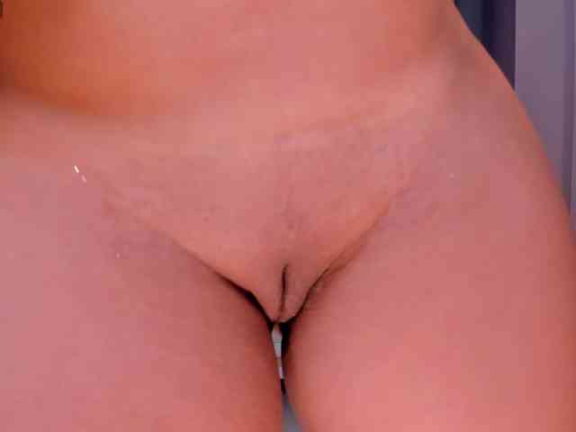 Modelo: NovaSinclair