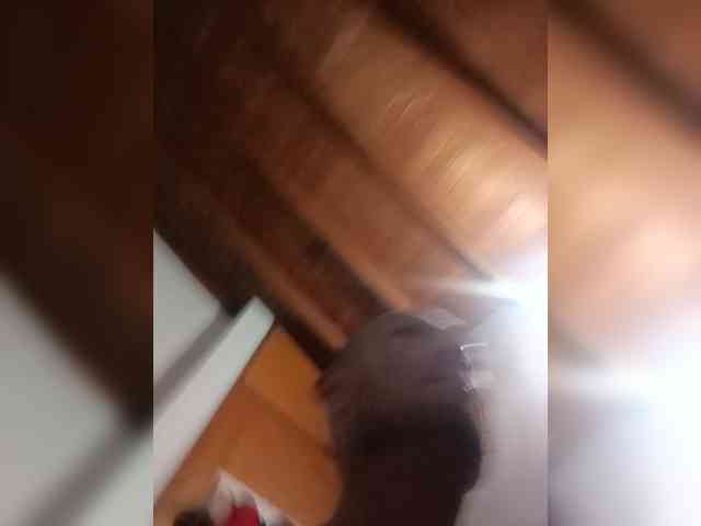 latinmxsex