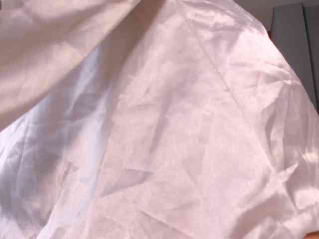 AmaraCollins webcam