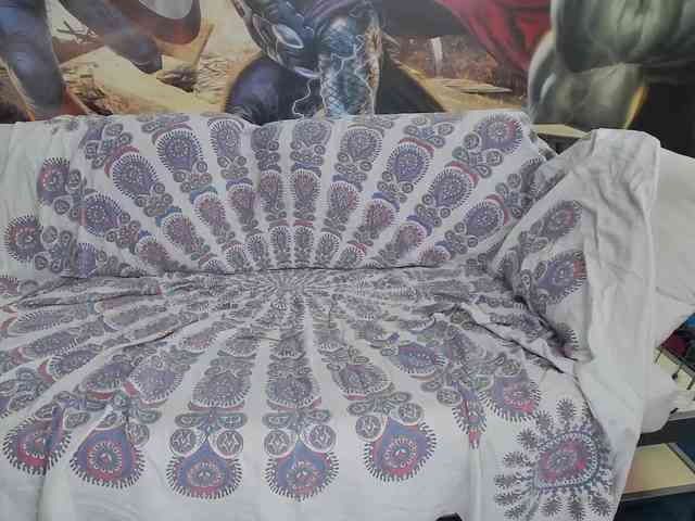 Lady2XL webcam