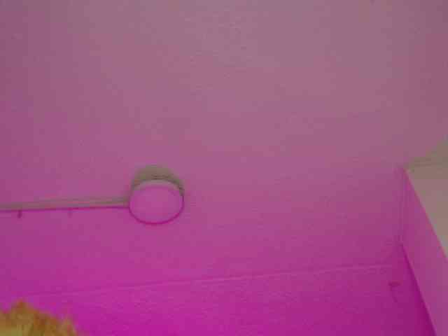 AudreyParkers Live Webcam on BongaCams