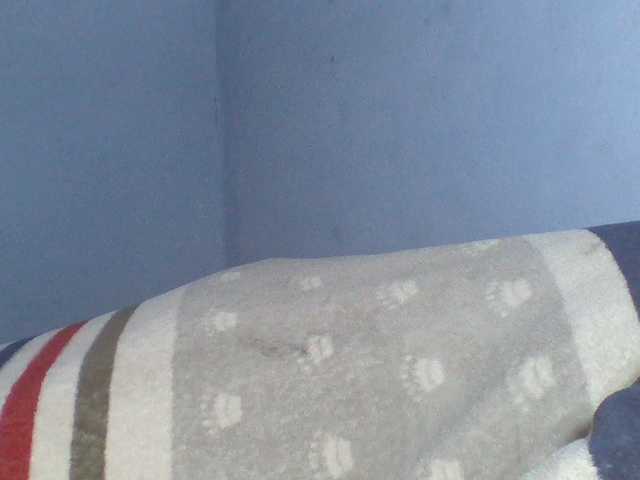 Rema-2 live cam on BongaCams