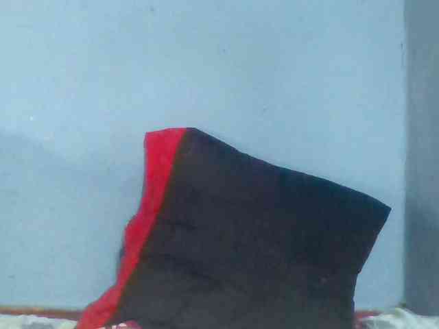 Rema-2 webcam
