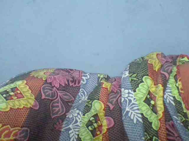 Rema-2 webcam
