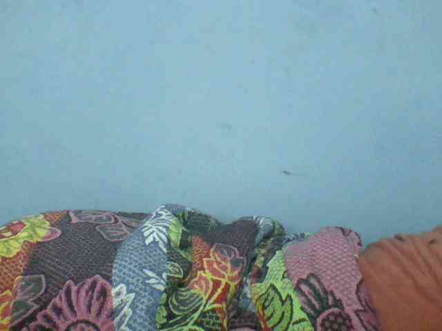 Rema-2 Rema-2